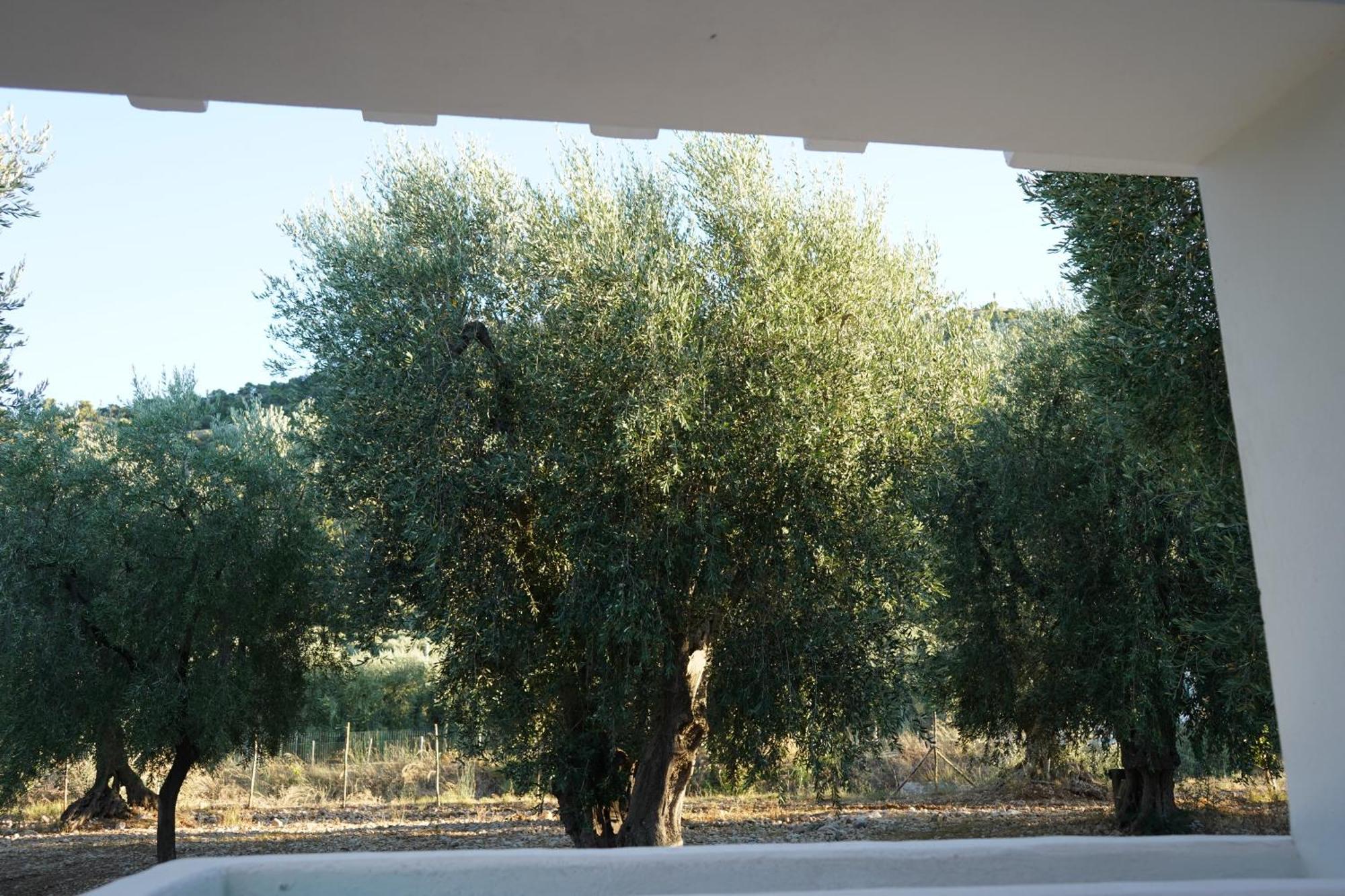 Olive&Sea Villa-Olive Маттіната Екстер'єр фото