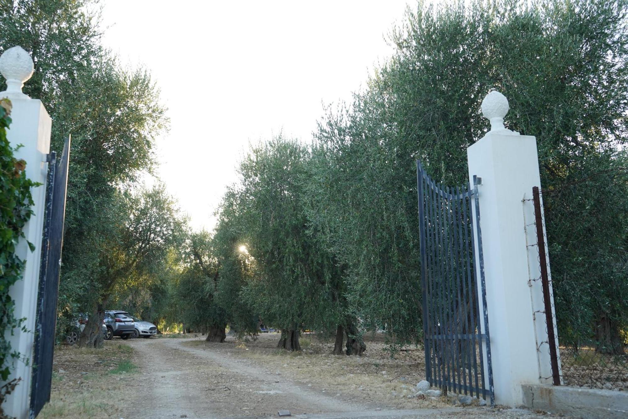 Olive&Sea Villa-Olive Маттіната Екстер'єр фото