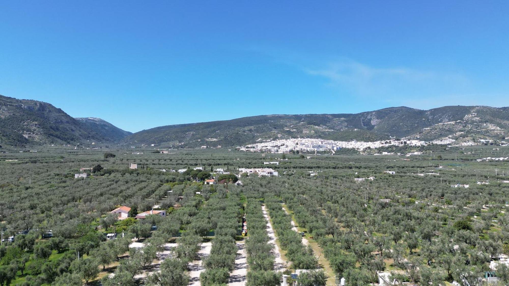 Olive&Sea Villa-Olive Маттіната Екстер'єр фото