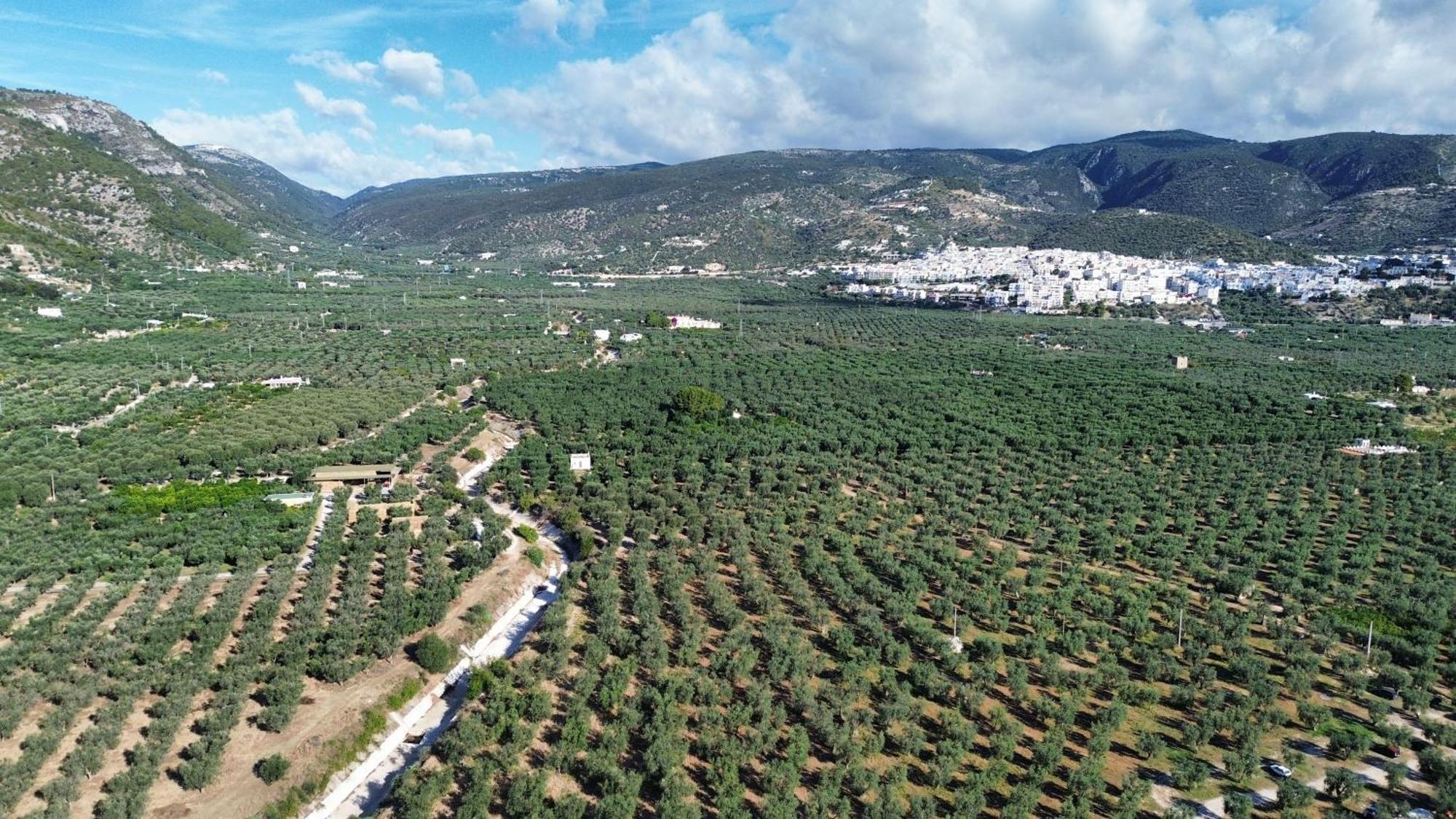 Olive&Sea Villa-Olive Маттіната Екстер'єр фото