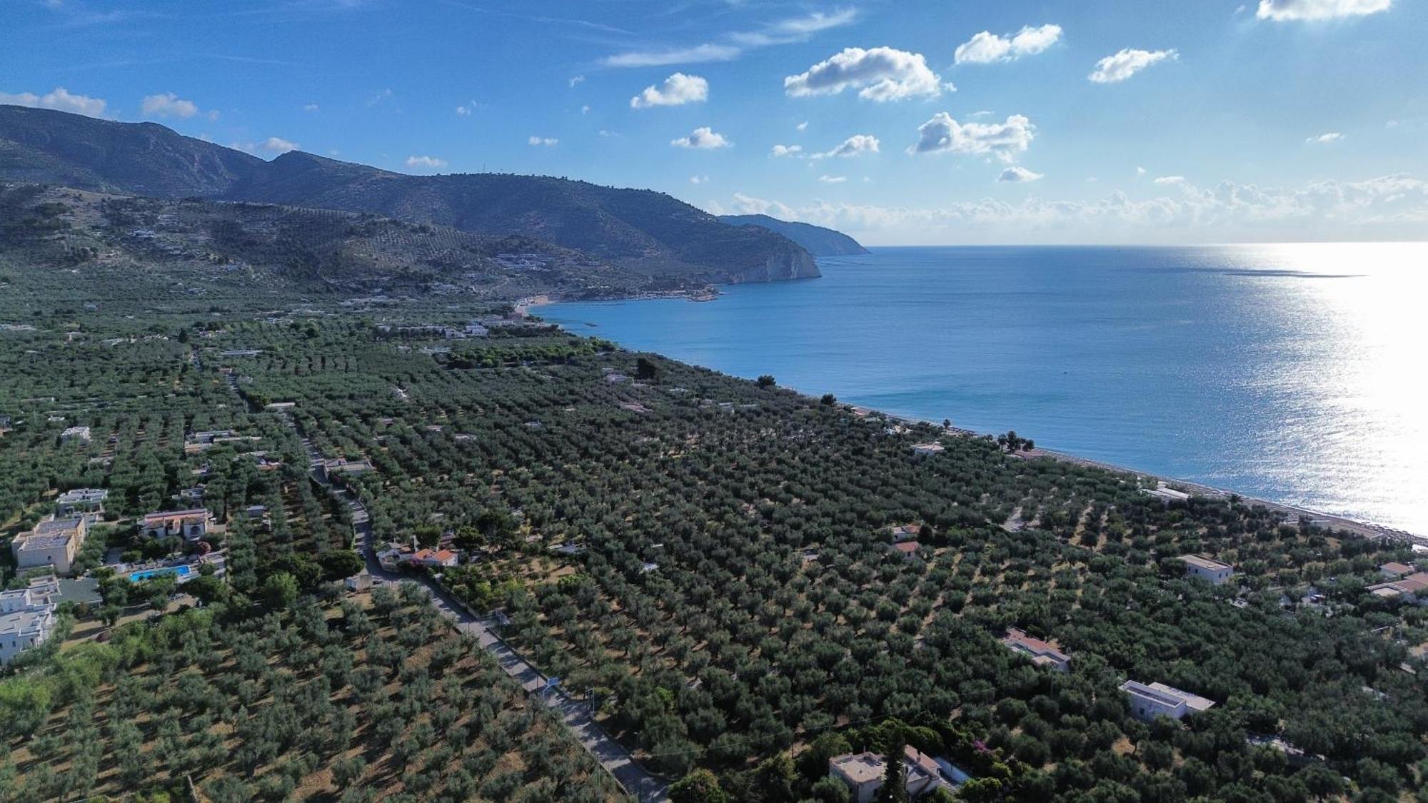 Olive&Sea Villa-Olive Маттіната Екстер'єр фото